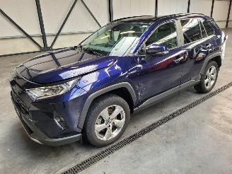 Unfallwagen Toyota Rav-4 Hybrid 2.5 131-KW Automaat 2-WD Panoramadak 2019/1
