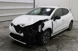schade Renault Clio 