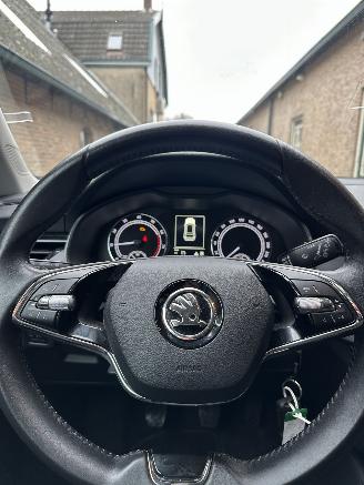 Skoda Kamiq 1.0 TSI Ambition picture 10