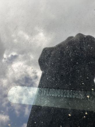 Renault Trafic  picture 15