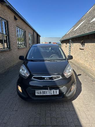 Kia Picanto  picture 3