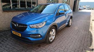 Avarii autoturisme Opel Grandland Opel Grandland X 1.2 Turbo 120 Jaar Edition 2019/6