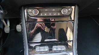 Opel Grandland Opel Grandland X 1.2 Turbo 120 Jaar Edition picture 13