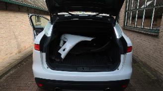 Jaguar F-Pace Jaguar F-PACE 2.0 Portfolio AWD 30t picture 19