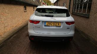 Jaguar F-Pace Jaguar F-PACE 2.0 Portfolio AWD 30t picture 5