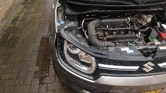 Suzuki Ignis Suzuki Ignis 1.2 Stijl Smart Hybrid picture 28