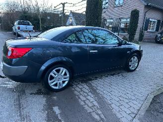 Renault Mégane Coupe Cabriolet 2.0-16V Privilège Luxe picture 9