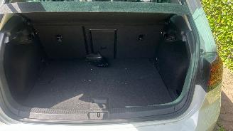 Volkswagen e-Golf E-DITION picture 24