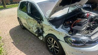Volkswagen e-Golf E-DITION picture 23