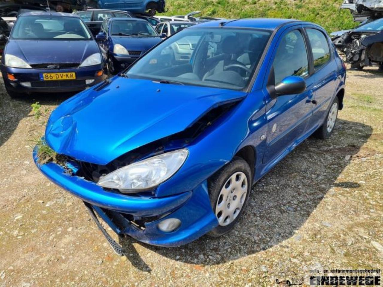 Peugeot 206 206 (2A/C/H/J/S), Hatchback, 1998 / 2012 1.4 XR,XS,XT,Gentry