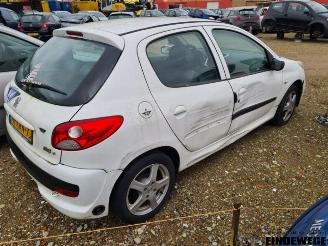 Peugeot 206 206+ (2L/M), Hatchback, 2009 / 2013 1.4 XS picture 3