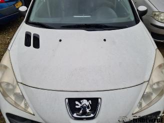 Peugeot 206 206+ (2L/M), Hatchback, 2009 / 2013 1.4 XS picture 14