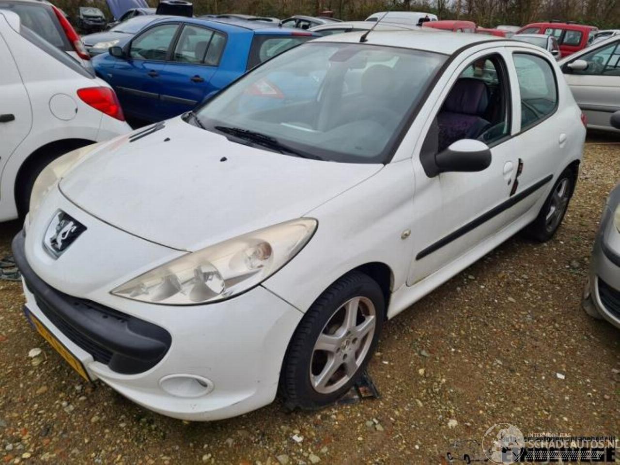 Peugeot 206 206+ (2L/M), Hatchback, 2009 / 2013 1.4 XS
