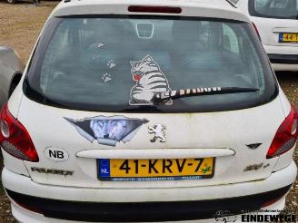 Peugeot 206 206+ (2L/M), Hatchback, 2009 / 2013 1.4 XS picture 8