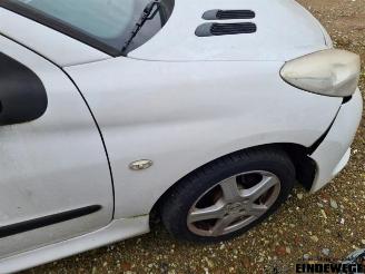 Peugeot 206 206+ (2L/M), Hatchback, 2009 / 2013 1.4 XS picture 11