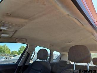 Opel Meriva Meriva (B), MPV, 2010 / 2017 1.3 CDTI 16V picture 14