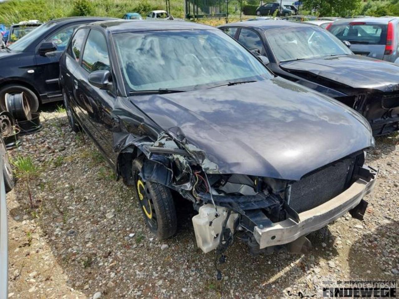 Audi A3 A3 (8P1), Hatchback 3-drs, 2003 / 2012 1.9 TDI