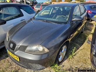 demontáž osobní automobily Seat Ibiza Ibiza III (6L1), Hatchback, 2002 / 2009 1.4 TDI 80 2009/4