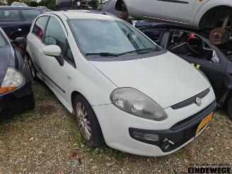 Sloopauto Fiat Punto Punto Evo (199), Hatchback, 2009 / 2012 1.3 JTD Multijet 85 16V Euro 5 2011/11