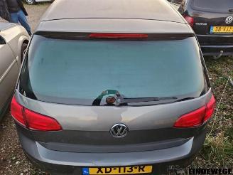 Volkswagen Golf Golf VII (AUA), Hatchback, 2012 / 2021 1.2 TSI 16V picture 16