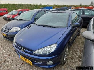 Peugeot 206 206 CC (2D), Cabrio, 2000 / 2007 1.6 16V picture 6