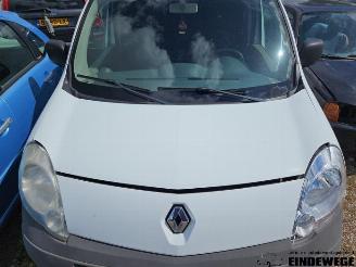Renault Kangoo Kangoo Express (FW), Van, 2008 1.5 dCi 85 picture 11