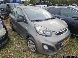 Vrakbiler auto Kia Picanto Picanto (TA), Hatchback, 2011 / 2017 1.0 12V 2011/6