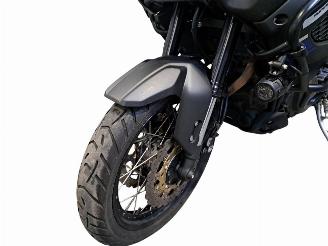 Yamaha XT 1200 TENERE picture 5