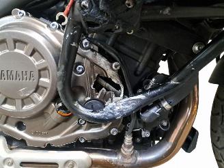 Yamaha XT 1200 TENERE picture 6