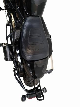 Harley-Davidson  SPORTSTER S picture 12