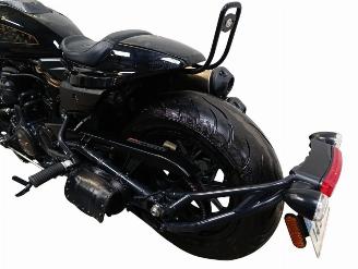 Harley-Davidson  SPORTSTER S picture 15