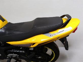 Suzuki GS 500 F picture 21