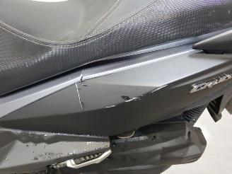 Sym  SKYCRUISER picture 8