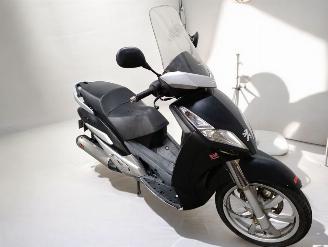 Peugeot  GEOPOLIS picture 10