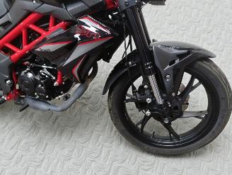 Benelli  BN picture 10