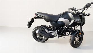 Honda MSX 125  picture 1