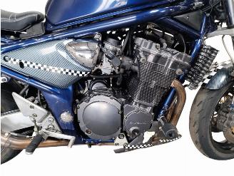 Suzuki Bandit 1200  picture 12