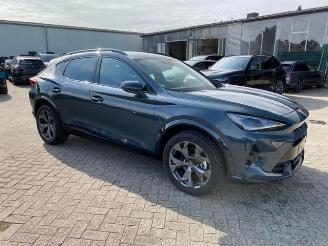 Cupra Formentor 1.5 TSI e-Hybrid picture 10