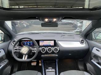 Mercedes GLA 250 4Matic AMG Line Advanced Plus Pano/AHK picture 16