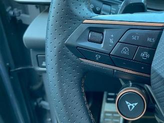 Cupra Terramar VZ e-Hybrid HUD/360/AHK/NAVI picture 21
