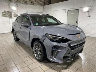 Cupra Terramar VZ e-Hybrid HUD/360/AHK/NAVI picture 7