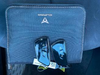 Cupra Terramar VZ e-Hybrid HUD/360/AHK/NAVI picture 22