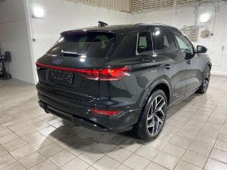 Audi SQ6 e-tron HUD/360/AHK/B&O/NAVI picture 9