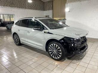 Skoda Enyaq RS 4x4 250kW HUD/PANO/360/NAVI picture 8
