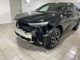 Audi SQ6 e-tron HUD/360/AHK/B&O/NAVI picture 6