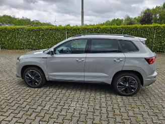 Skoda Karoq 1.5 TSI DSG Sportline KAM/NAVI picture 3