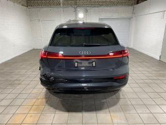 Audi Q8 e-tron 55 quattro advanced HUD/AHK/KAM/NAVI picture 10