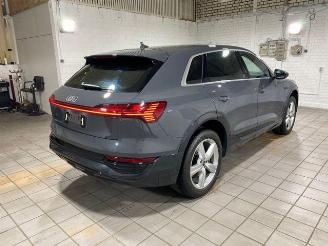 Audi Q8 e-tron 55 quattro advanced HUD/AHK/KAM/NAVI picture 1