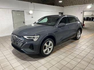 Audi Q8 e-tron 55 quattro advanced HUD/AHK/KAM/NAVI picture 7