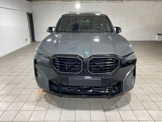 BMW XM ICONIC/HUD/360/AHK/H&K/NAVI picture 2